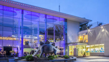 Best Things to Do in Worcester, MA